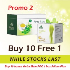 YM Promotion II